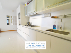 Leonie Suites (D9), Apartment #159614862